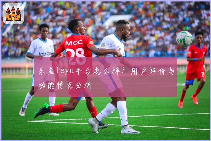 乐鱼leyu平台怎么样？用户评价与功能特点分析