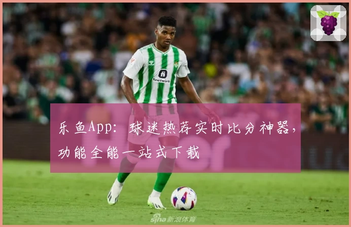 乐鱼App：球迷热荐实时比分神器，功能全能一站式下载