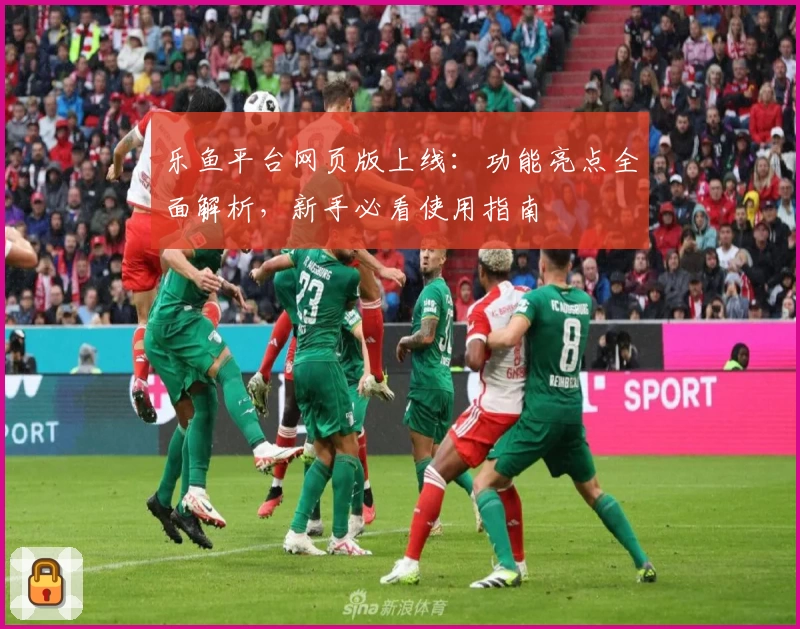 乐鱼平台网页版上线：功能亮点全面解析，新手必看使用指南