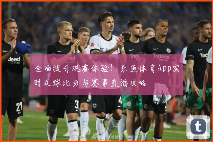 全面提升观赛体验！乐鱼体育App实时足球比分与赛事直播攻略