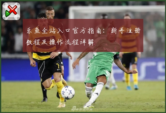 乐鱼全站入口官方指南：新手注册教程及操作流程详解