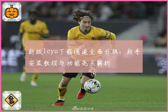 新版leyu下载通道全面升级，新手安装教程与功能亮点解析